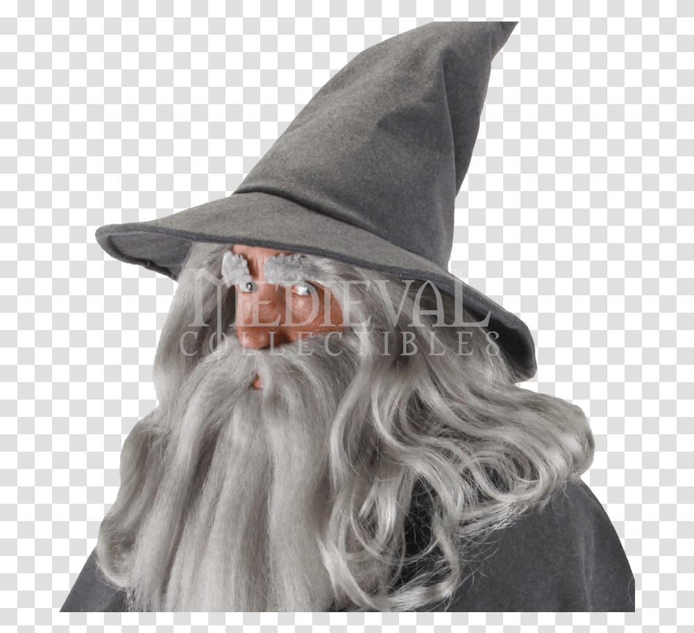 Gandalf Hat, Apparel, Hood, Person Transparent Png