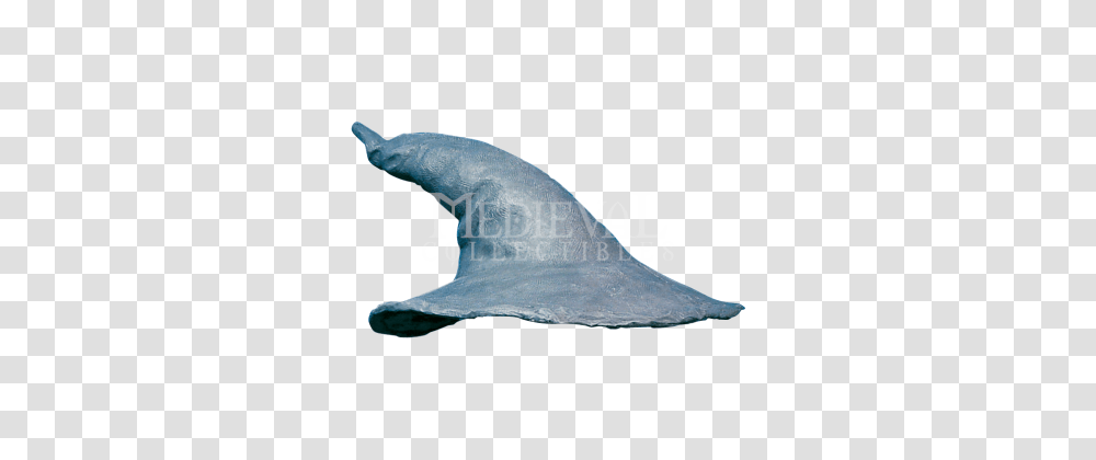 Gandalf Image, Shark, Sea Life, Fish, Animal Transparent Png