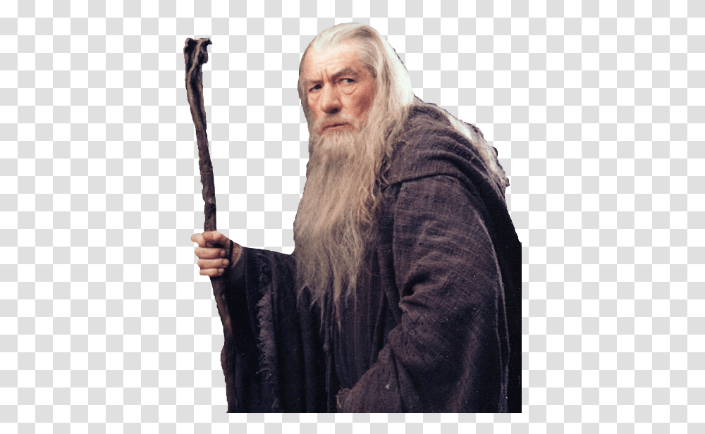 Gandalf Lord Of The Rings, Face, Person, Human, Beard Transparent Png