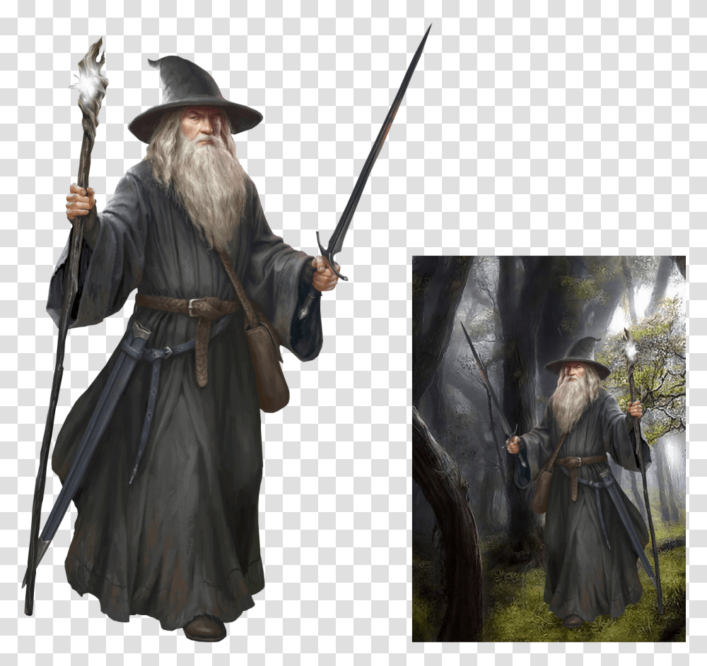 Gandalf, Person, Human, Face Transparent Png