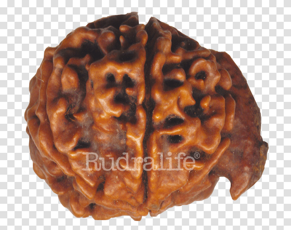 Ganesh Rudraksha Rudraksha Ganesh Rudraksha, Ornament, Accessories, Accessory, Jewelry Transparent Png