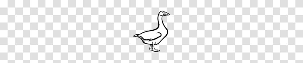 Gans Lineart Clip Art Goose, Bird, Animal, Duck, Waterfowl Transparent Png
