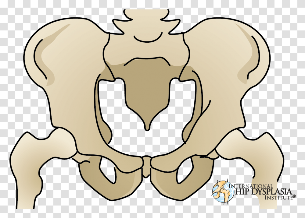 Ganz Osteotomy, Sunglasses, Accessories, Accessory, Stencil Transparent Png