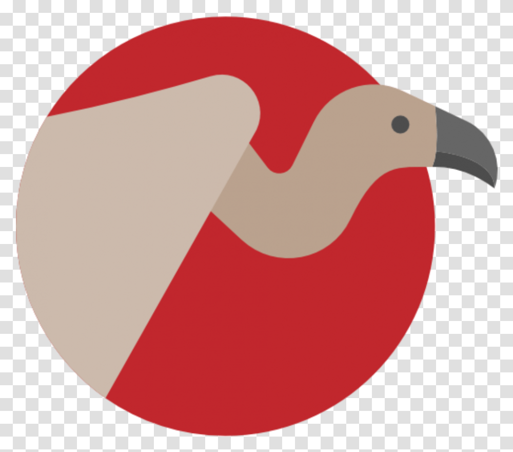 Garbage Vulture Icon, Bird, Animal, Kiwi Bird Transparent Png