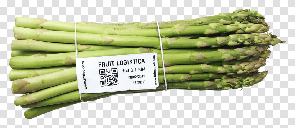 Garden Asparagus Download Welsh Onion, Plant, Vegetable, Food, Banana Transparent Png