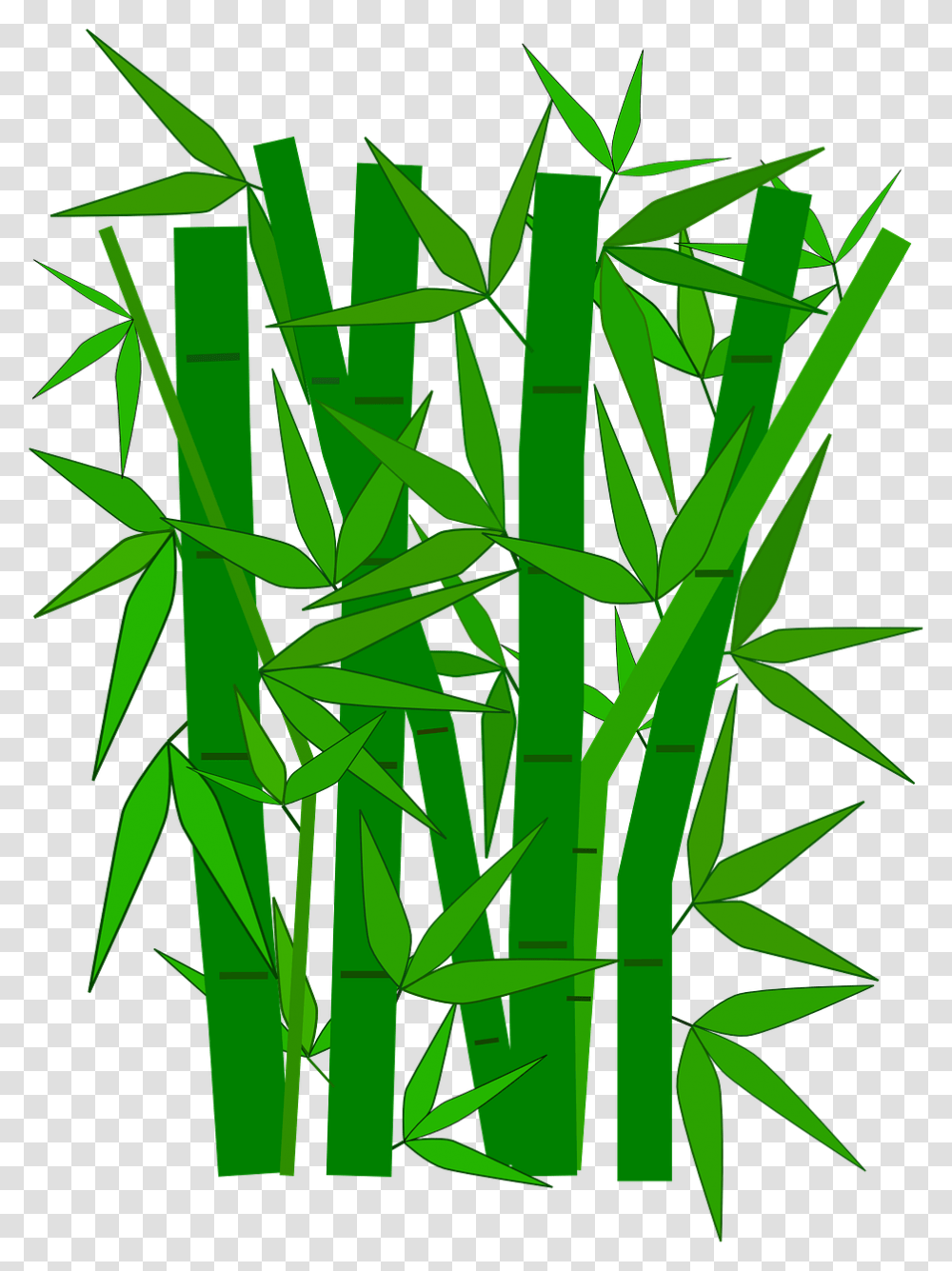 Garden Bamboo Forest Plant Green Leaves Branches, Grass Transparent Png