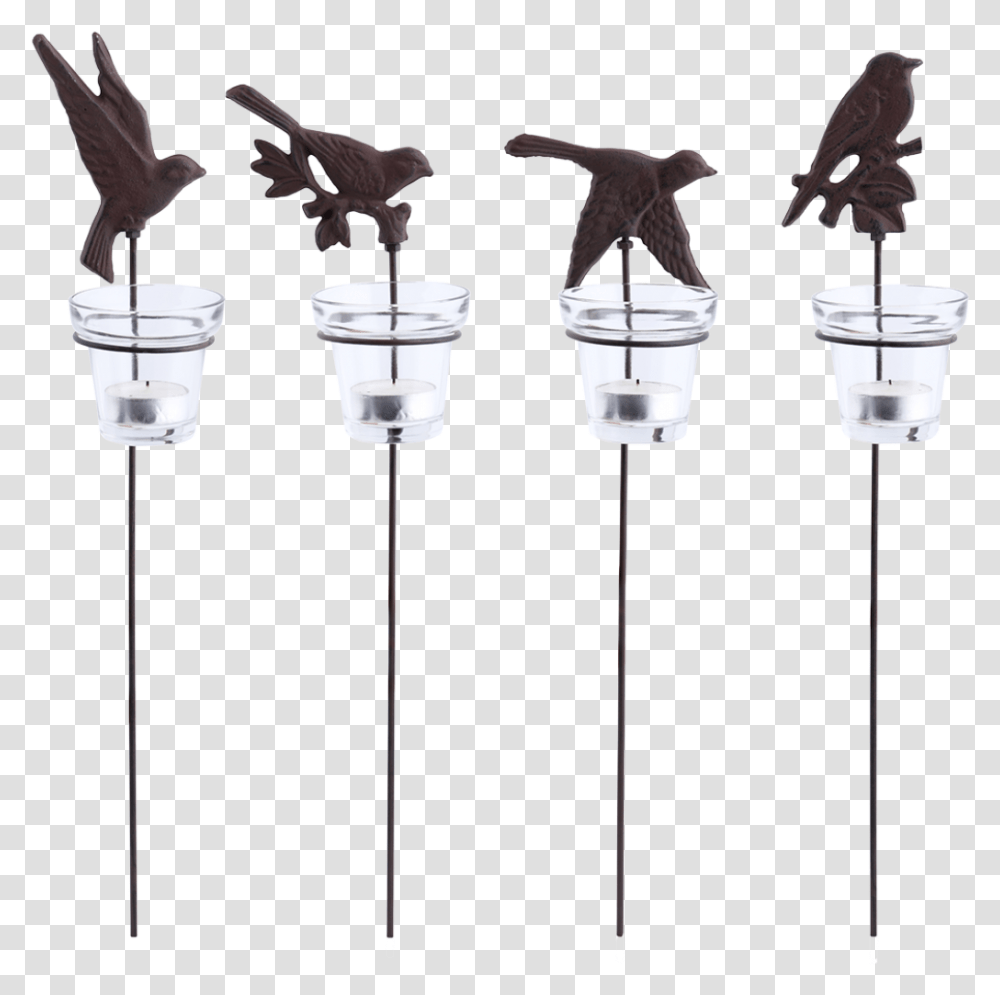 Garden Candle Light Birds Ass Magpie, Steamer, Electrical Device, Microphone Transparent Png