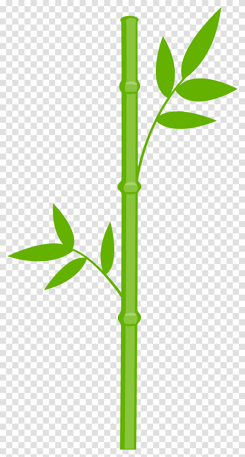 Garden Clip Art Panda Clip Art, Plant, Bamboo, Bow, Bamboo Shoot Transparent Png