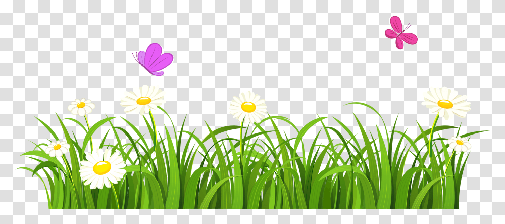 Garden Clipart Nature Grass Flowers Vector, Plant, Blossom, Daisy, Daisies Transparent Png