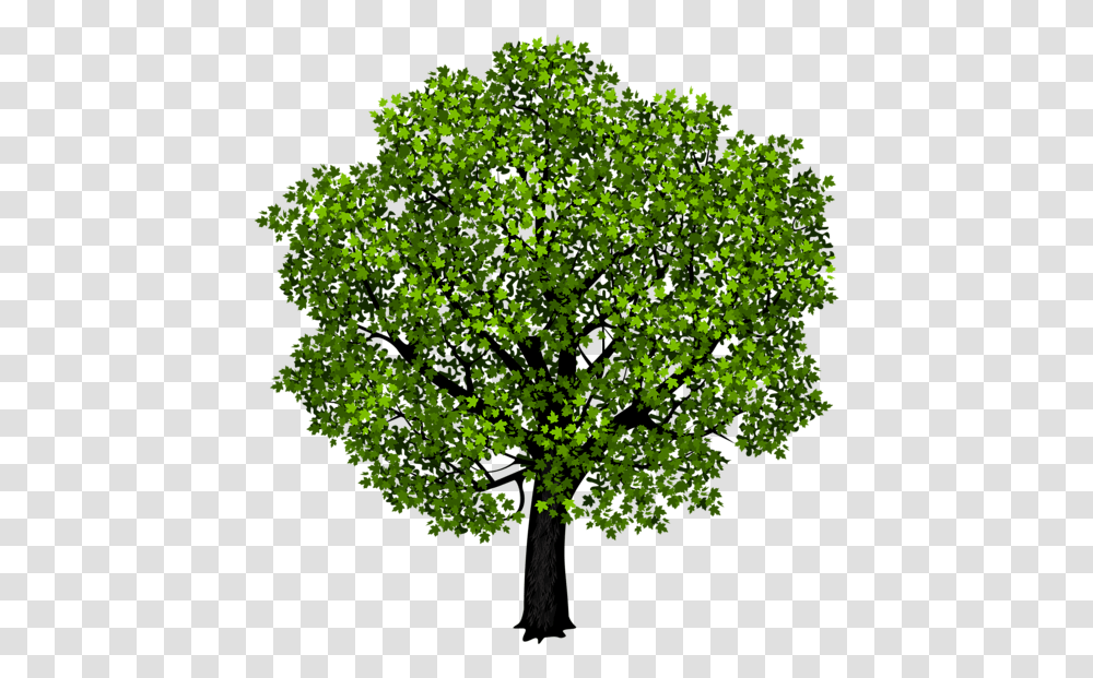 Garden Clipart Trees Tree Clipart Background, Green, Plant, Leaf, Bush Transparent Png