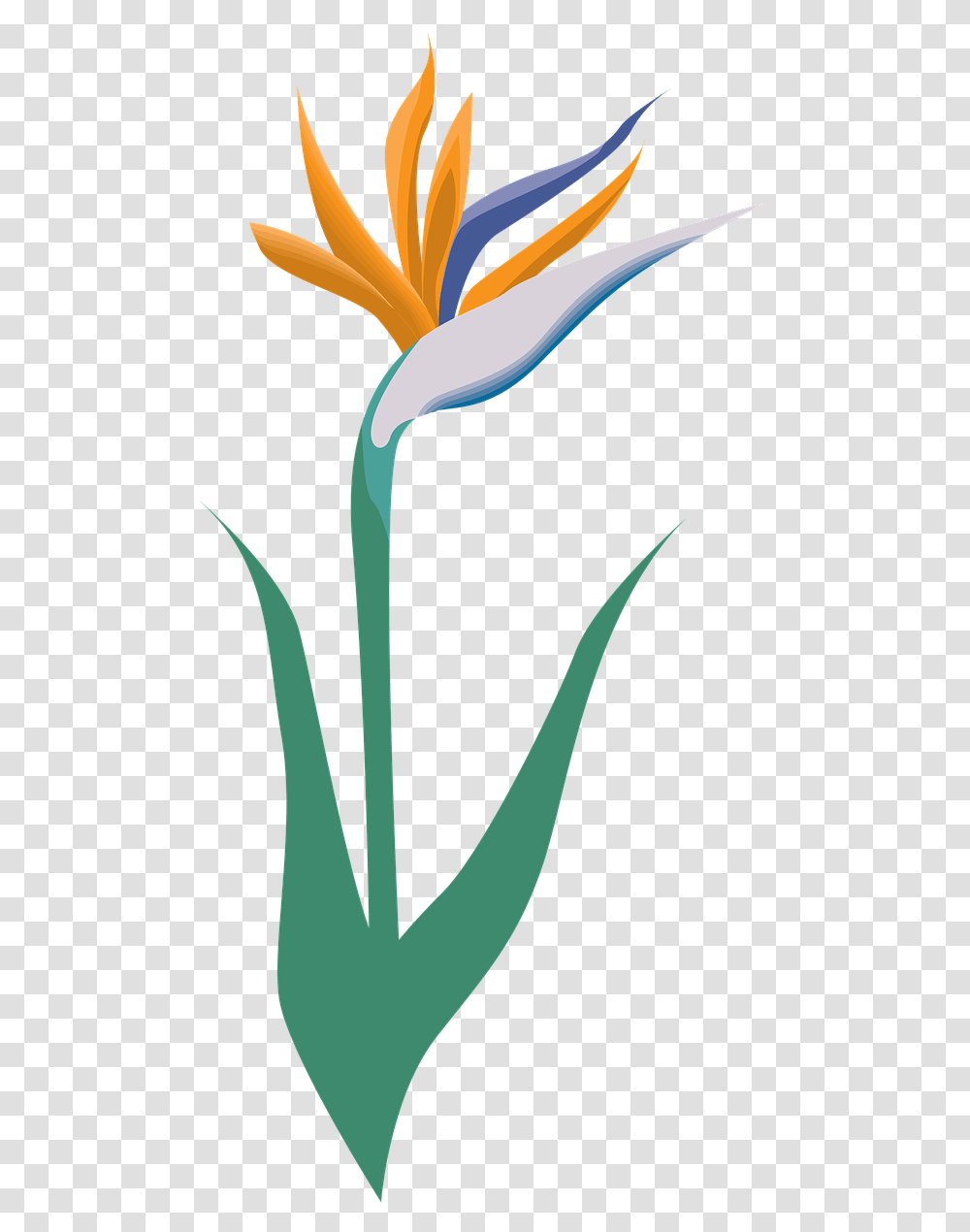Garden Flower Icon Symbol Blossom Logo Vectorial Y Mapa De Bits, Plant, Bird, Animal, Tulip Transparent Png