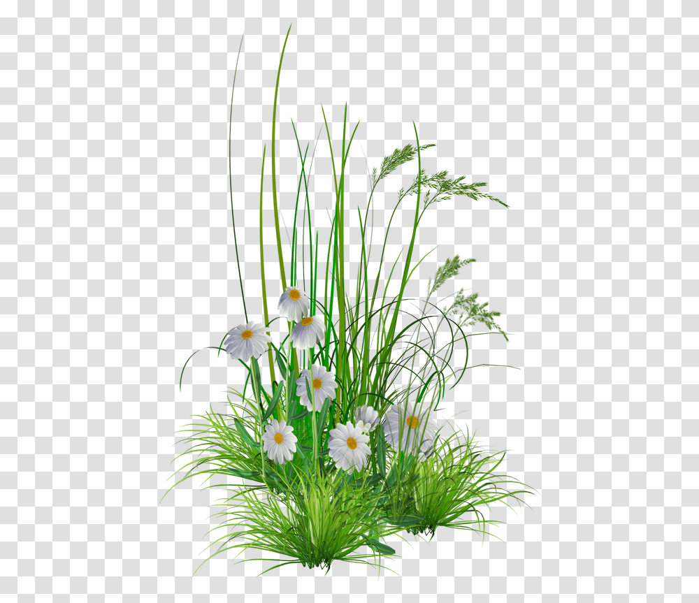 Garden Flowers, Plant, Potted Plant, Vase, Jar Transparent Png