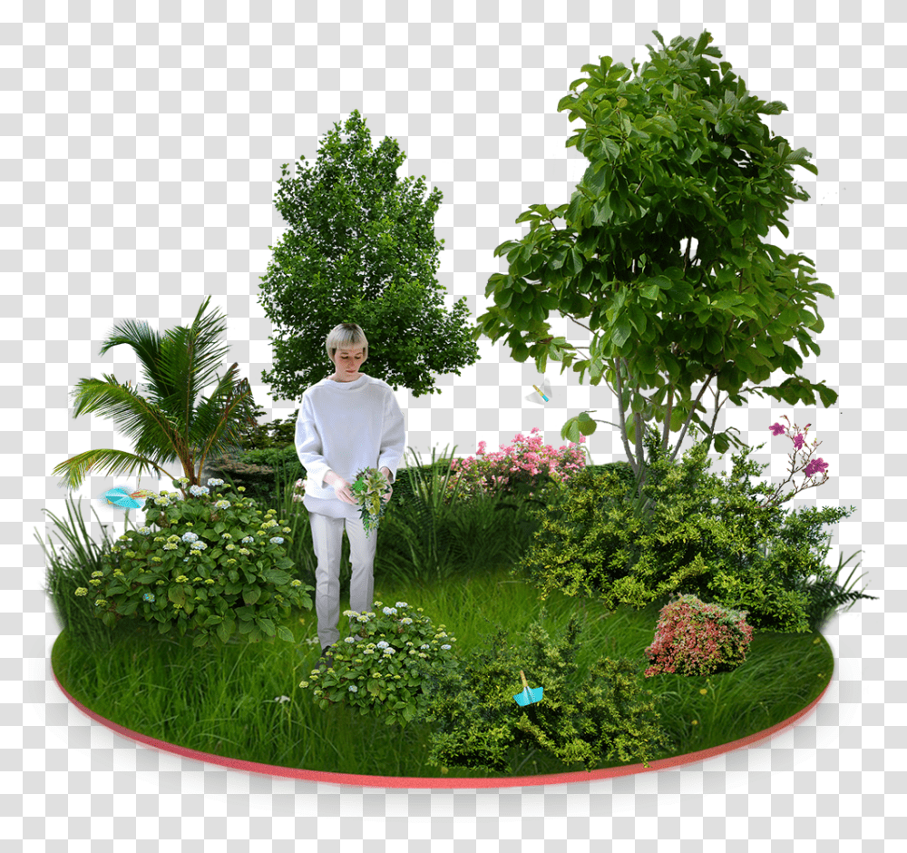 Garden For Free Download Background Small Tree, Person, Plant, Outdoors, Vegetation Transparent Png