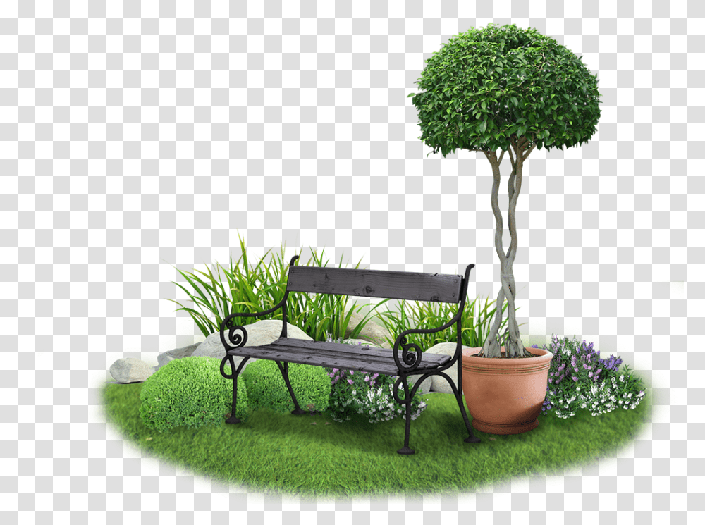 Garden Garden, Grass, Plant, Tree, Bench Transparent Png
