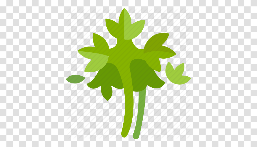Garden Garnish Herb Leaves Parsley Rosette Spice Icon, Leaf, Plant, Tree, Vegetable Transparent Png
