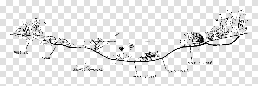 Garden, Floral Design, Pattern Transparent Png