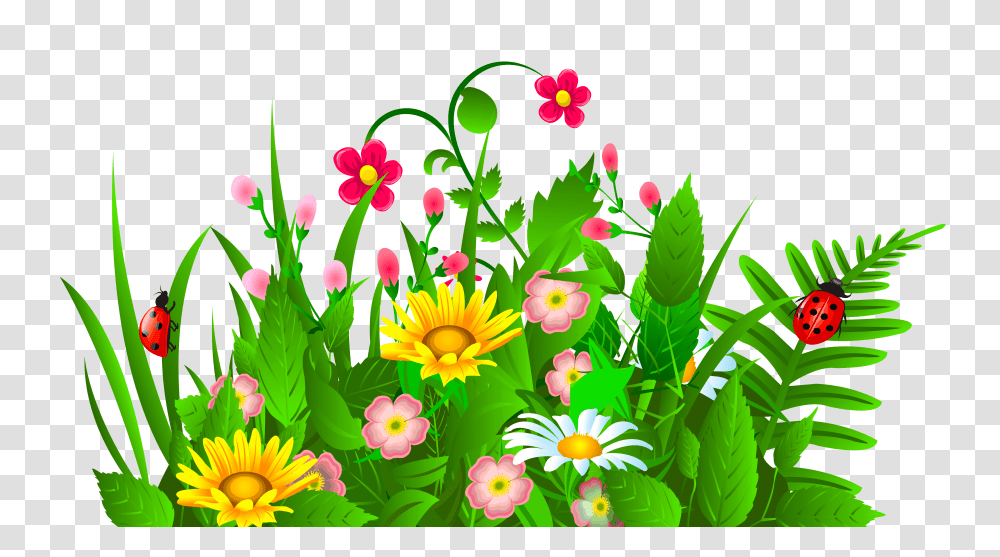 Garden, Floral Design, Pattern Transparent Png