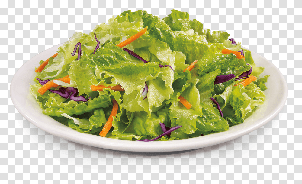 Garden Green Salad, Plant, Lettuce, Vegetable, Food Transparent Png