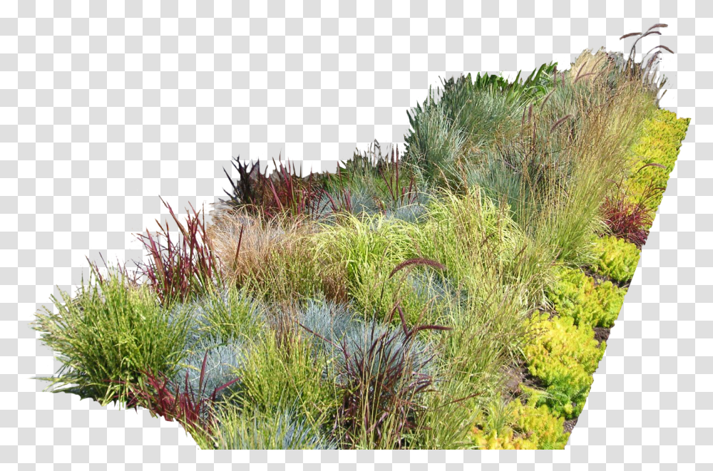 Garden Ideas Garden Design Landscaping Landscape Design Vegetation, Outdoors, Nature, Bush, Plant Transparent Png