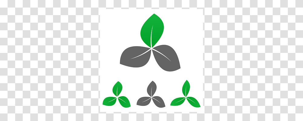 Garden Logo Leaf, Plant, Green Transparent Png