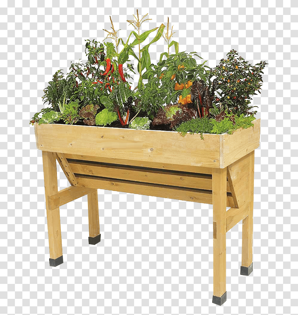 Garden Planter Background Free Images Raised Garden Planter, Tabletop, Furniture, Potted Plant, Vase Transparent Png