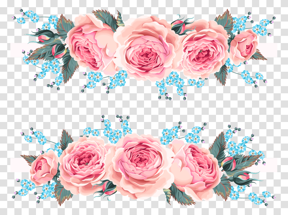 Garden Roses Beach Rose Flower Pink Pink Flowers For Invitation, Plant, Floral Design Transparent Png
