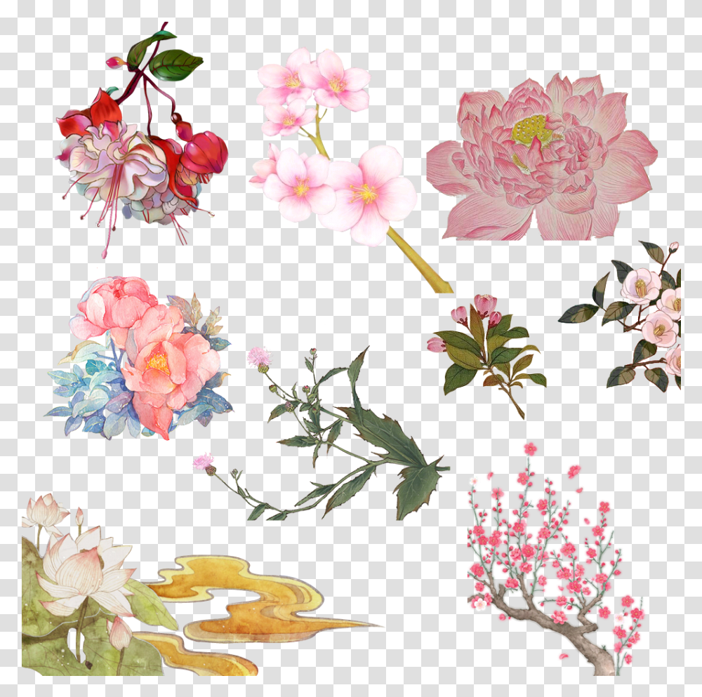 Garden Roses Download Prickly Rose, Plant, Flower Transparent Png