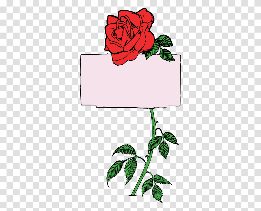 Garden Roses Floral Design Flower Pink, Plant, Pattern Transparent Png