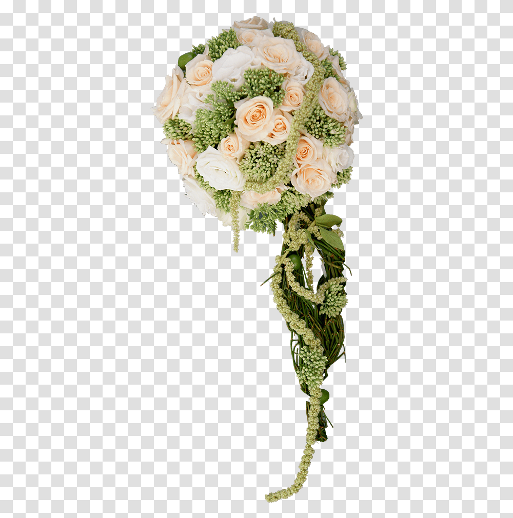 Garden Roses, Floral Design, Pattern Transparent Png