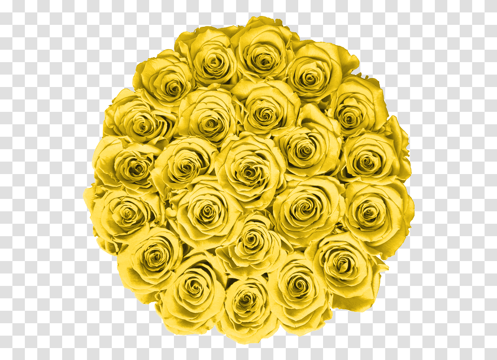 Garden Roses, Floral Design, Pattern Transparent Png