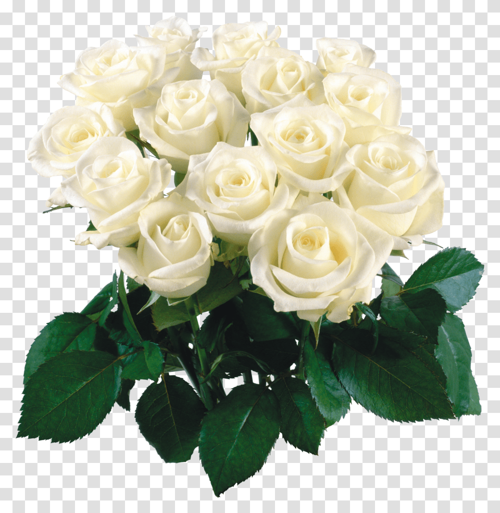 Garden Roses Flower Bouquet Clip Art White Flower Bokeh, Plant, Blossom, Flower Arrangement Transparent Png