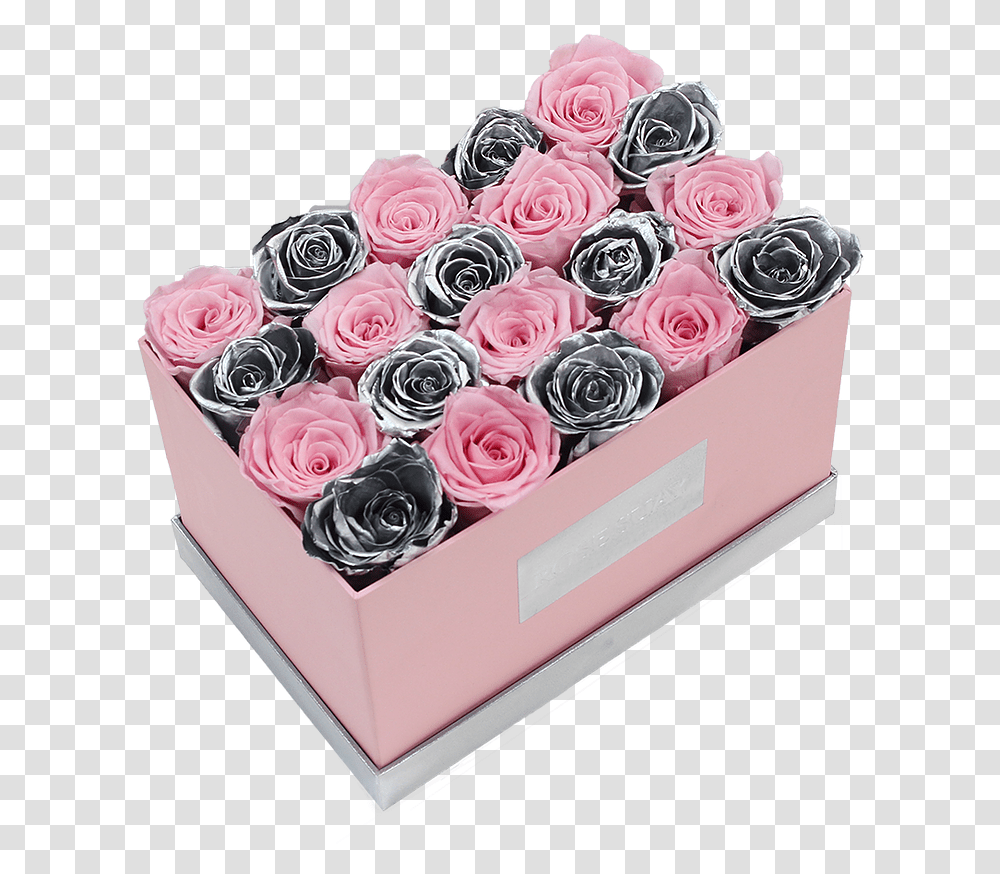Garden Roses, Flower, Plant, Blossom, Birthday Cake Transparent Png