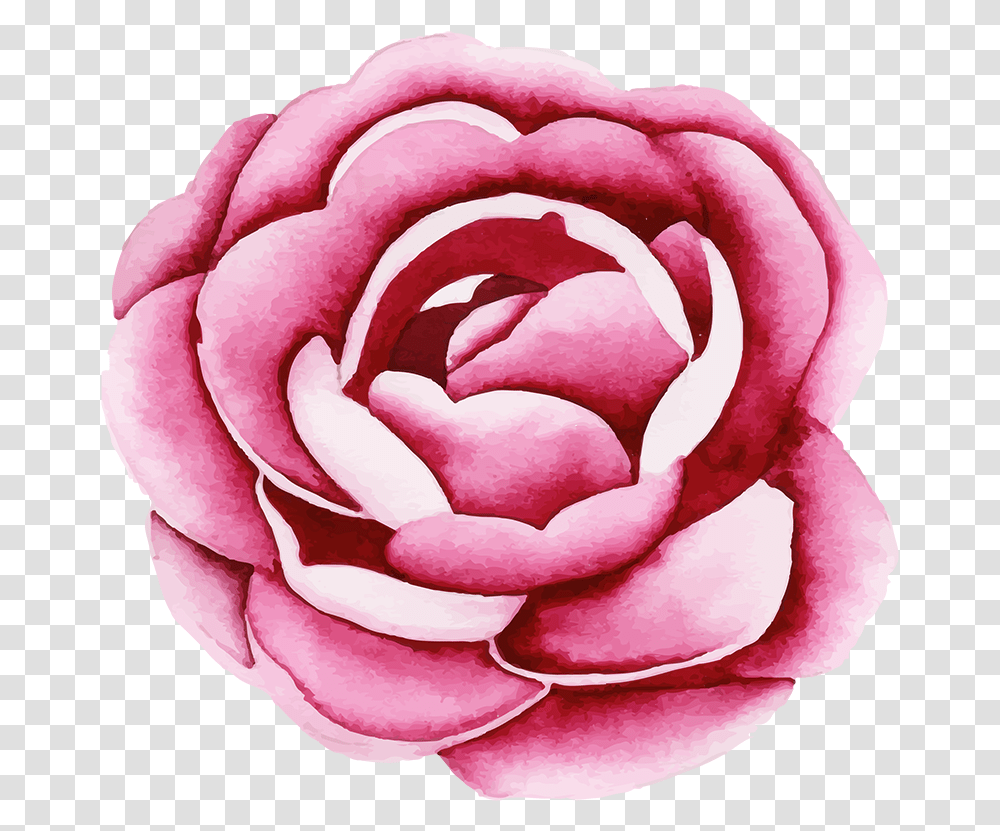 Garden Roses, Flower, Plant, Blossom, Dahlia Transparent Png