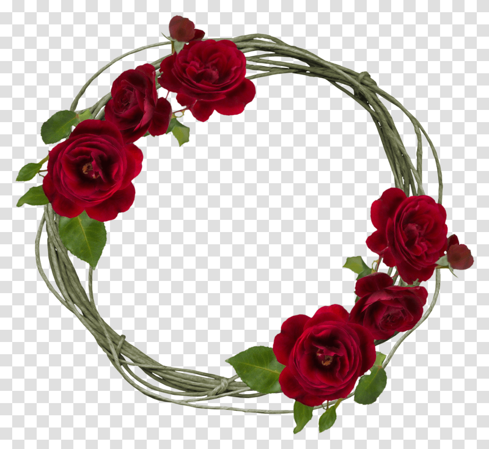 Garden Roses, Flower, Plant, Blossom, Flower Arrangement Transparent Png