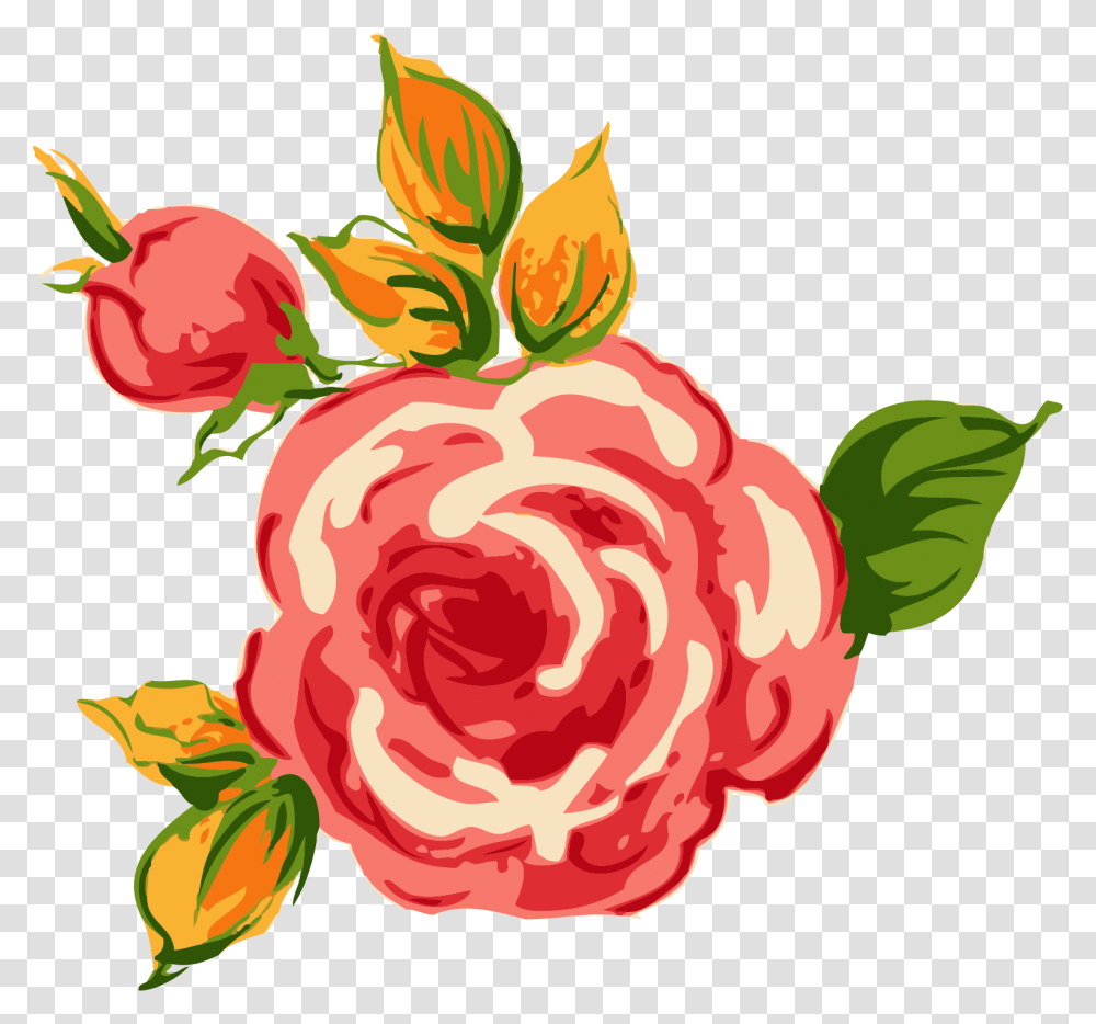 Garden Roses, Flower, Plant, Blossom Transparent Png