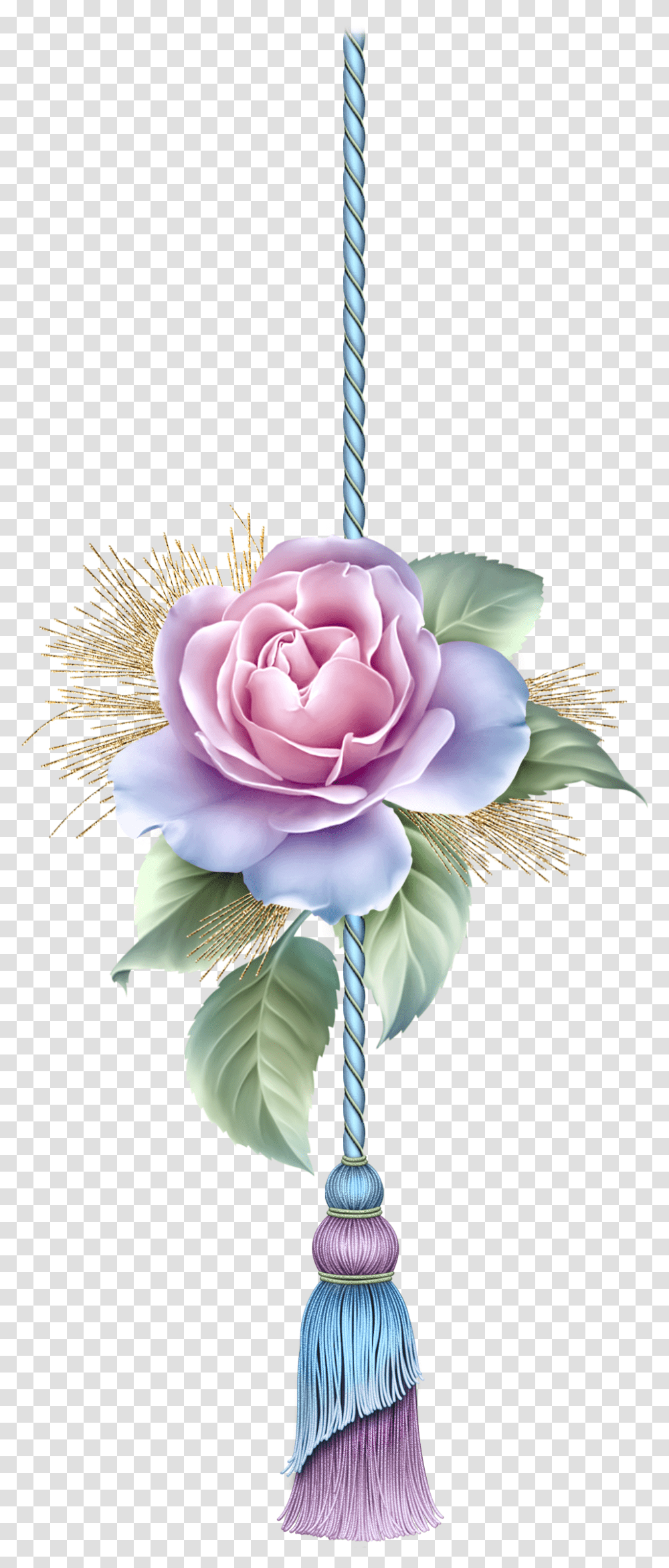 Garden Roses, Flower, Plant, Blossom, Ornament Transparent Png