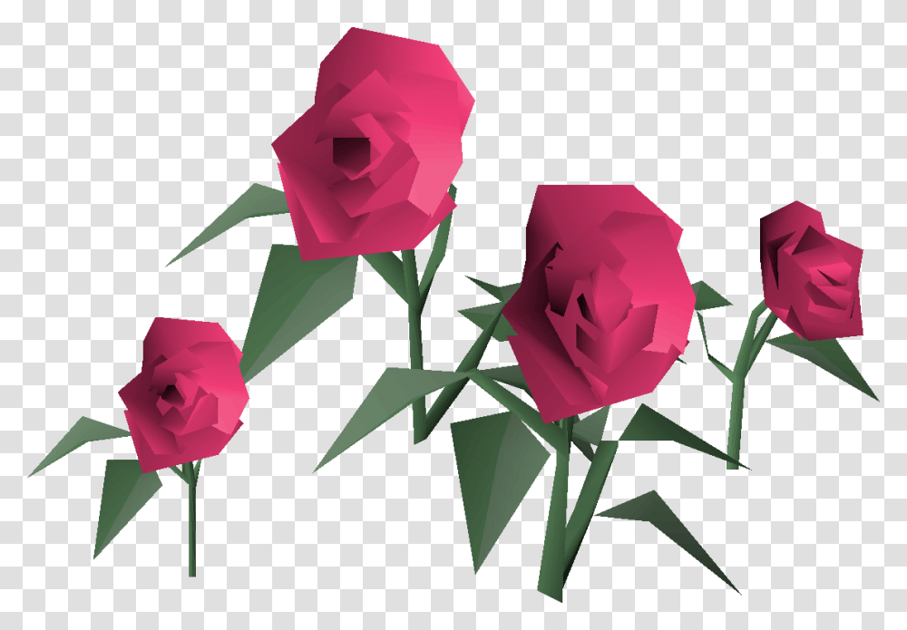 Garden Roses, Flower, Plant, Blossom, Petal Transparent Png