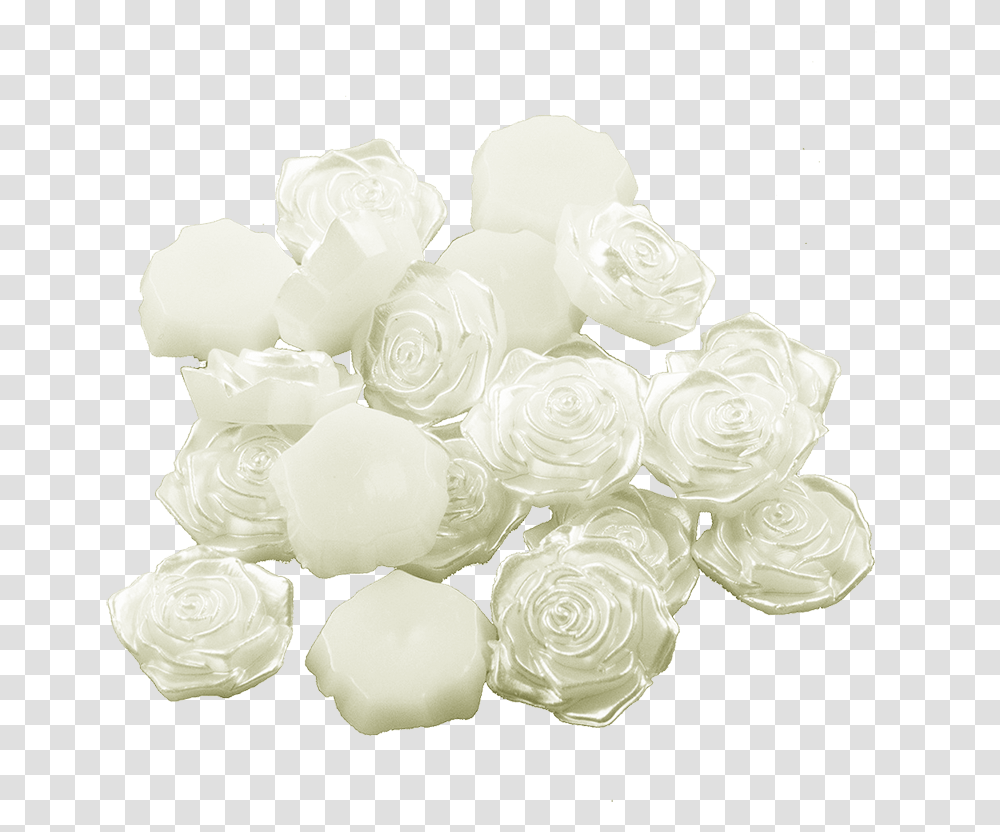 Garden Roses, Flower, Plant, Blossom, Petal Transparent Png