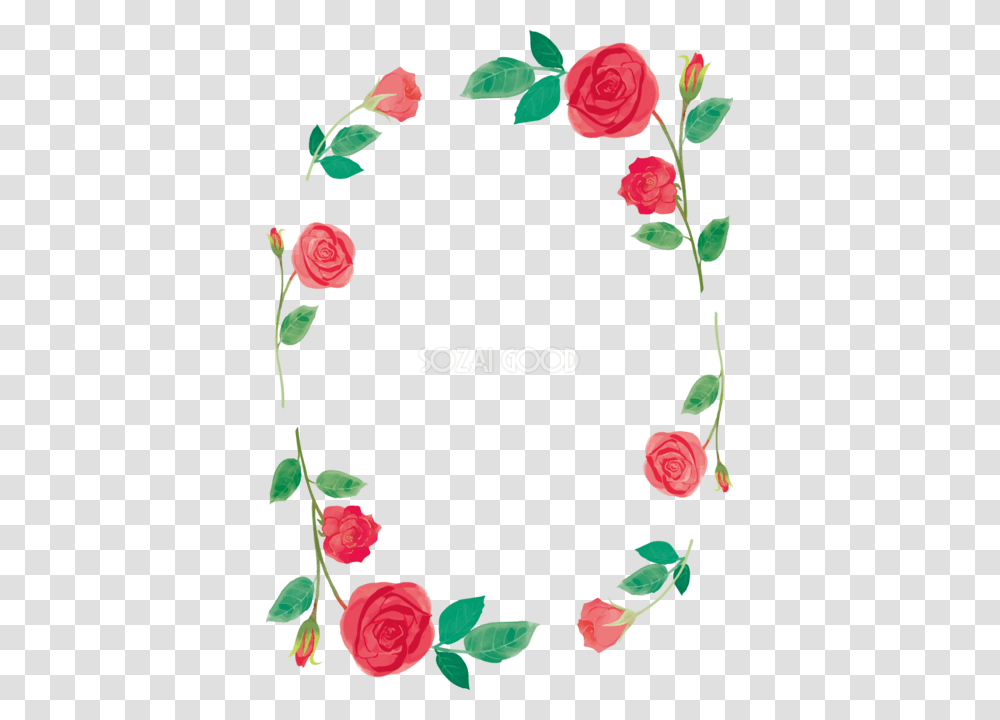 Garden Roses, Flower, Plant, Blossom, Petal Transparent Png