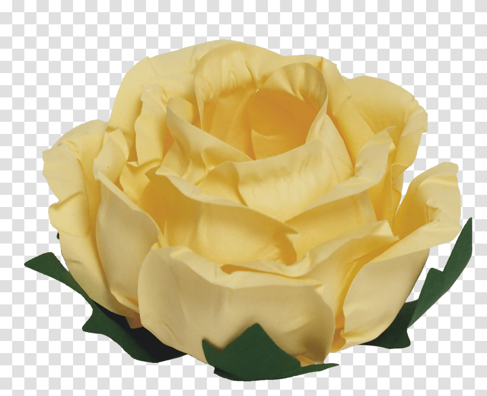 Garden Roses, Flower, Plant, Blossom, Petal Transparent Png