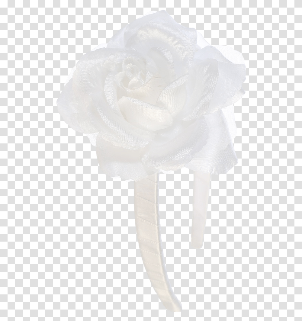 Garden Roses, Flower, Plant, Blossom Transparent Png