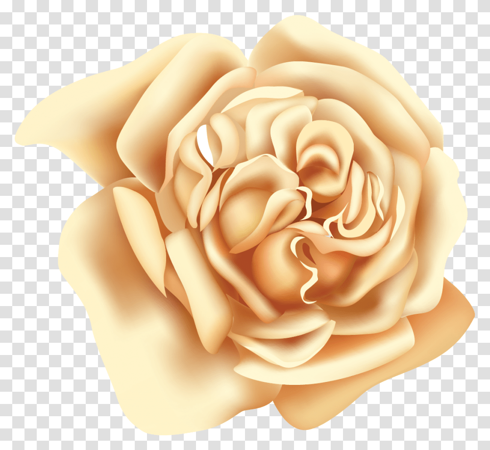 Garden Roses, Flower, Plant, Blossom, Wax Seal Transparent Png