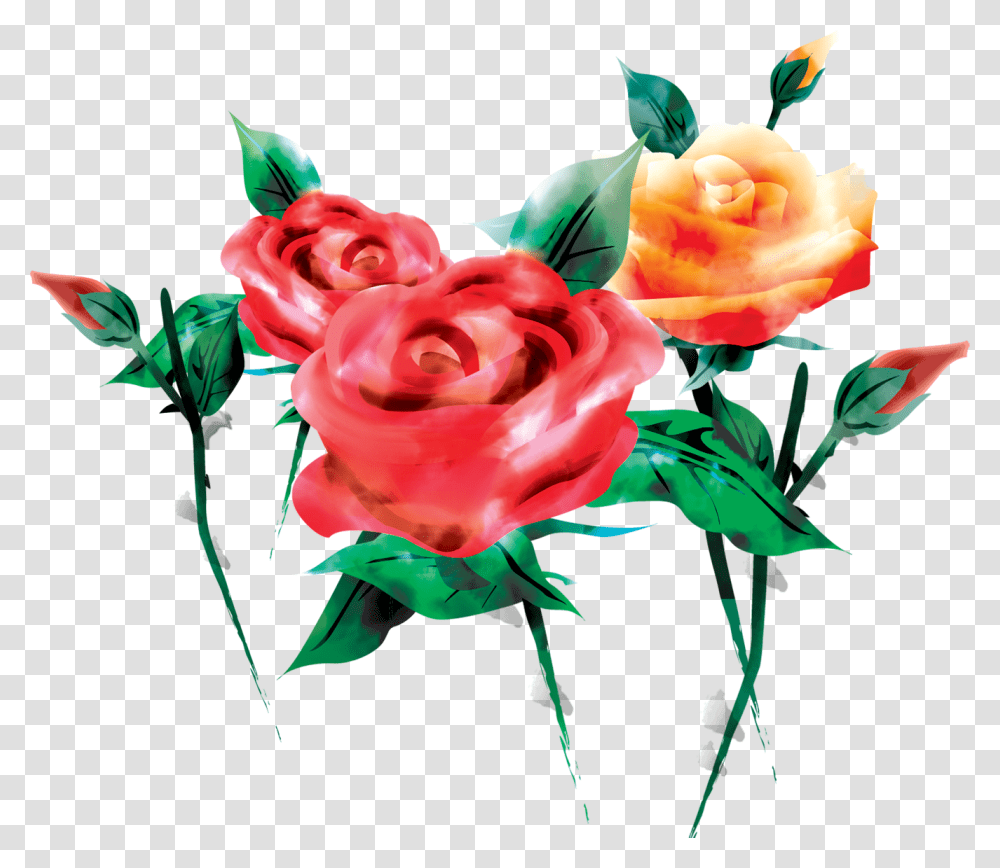 Garden Roses, Floral Design, Pattern Transparent Png