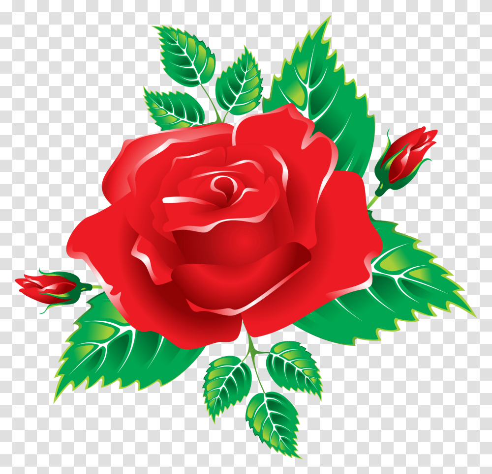 Garden Roses, Plant, Flower Transparent Png