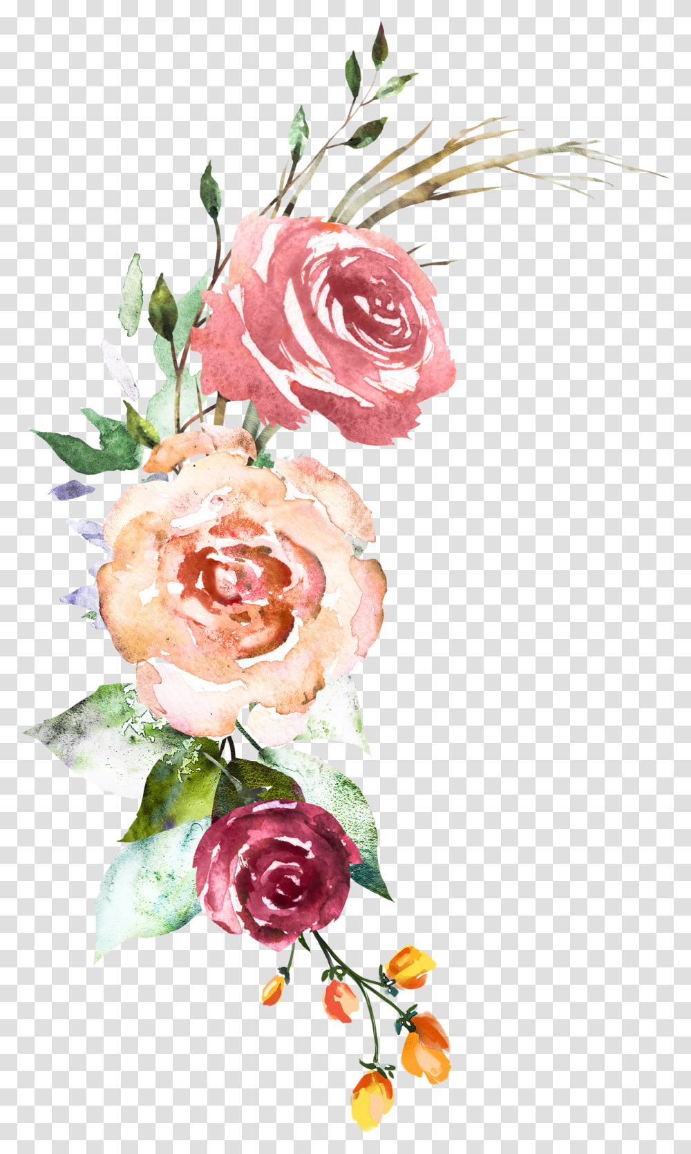 Garden Roses Hd Download Watercolor Painting Transparent Png
