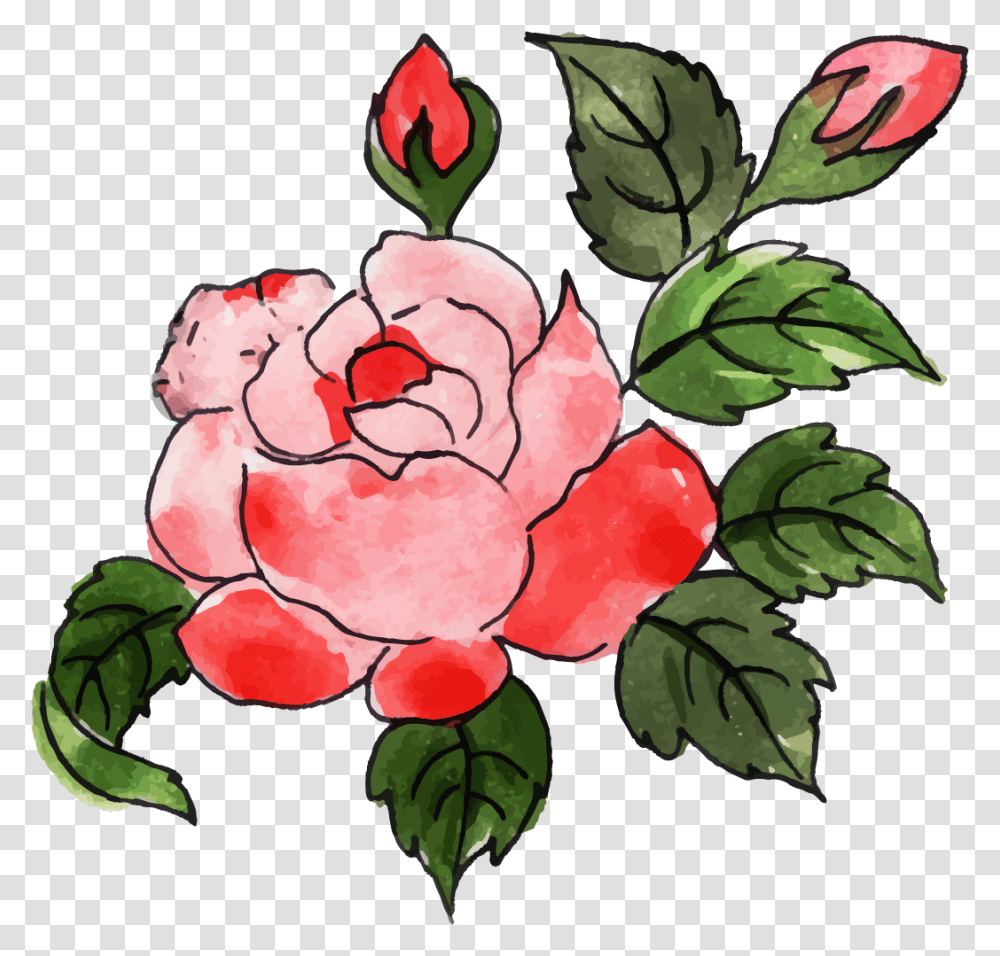 Garden Roses, Pattern, Floral Design Transparent Png