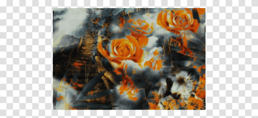 Garden Roses, Plant, Fire, Flower Transparent Png