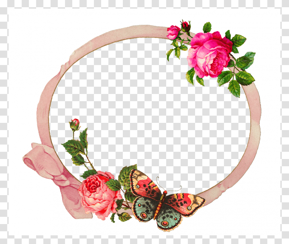 Garden Roses, Plant, Floral Design, Pattern Transparent Png