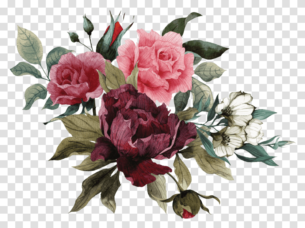 Garden Roses, Plant, Flower, Blossom Transparent Png