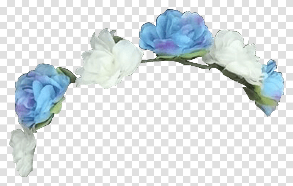 Garden Roses, Plant, Flower, Blossom Transparent Png